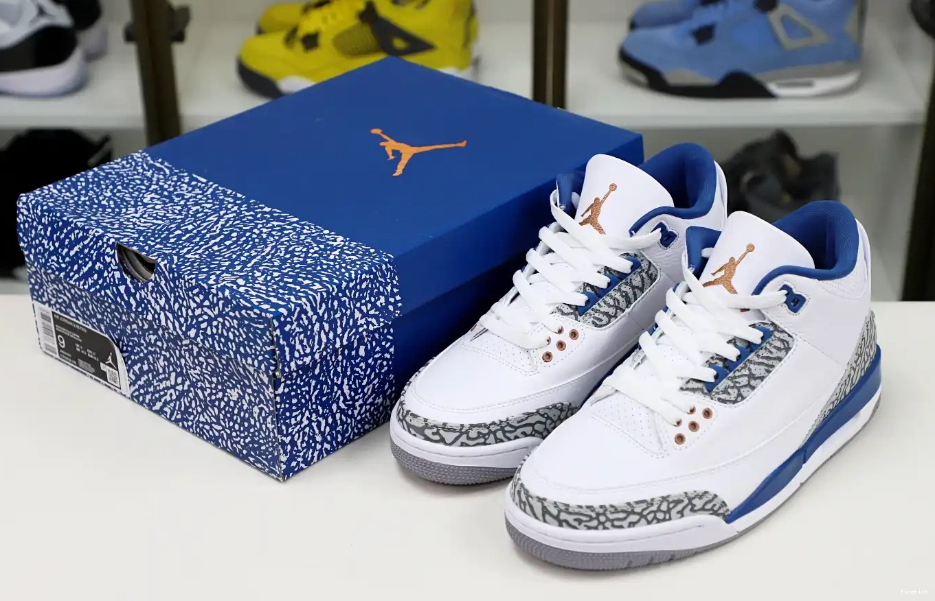 Air Jordan 3 retro